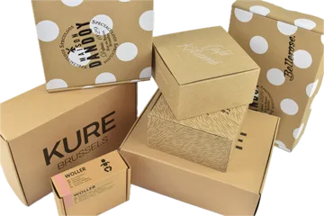 Експресна достава Кутије у Zwijnaarde BE